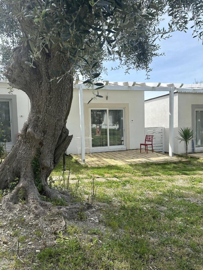 Frontemare Hotel Village & Ristorante Rodi Garganico Exterior photo