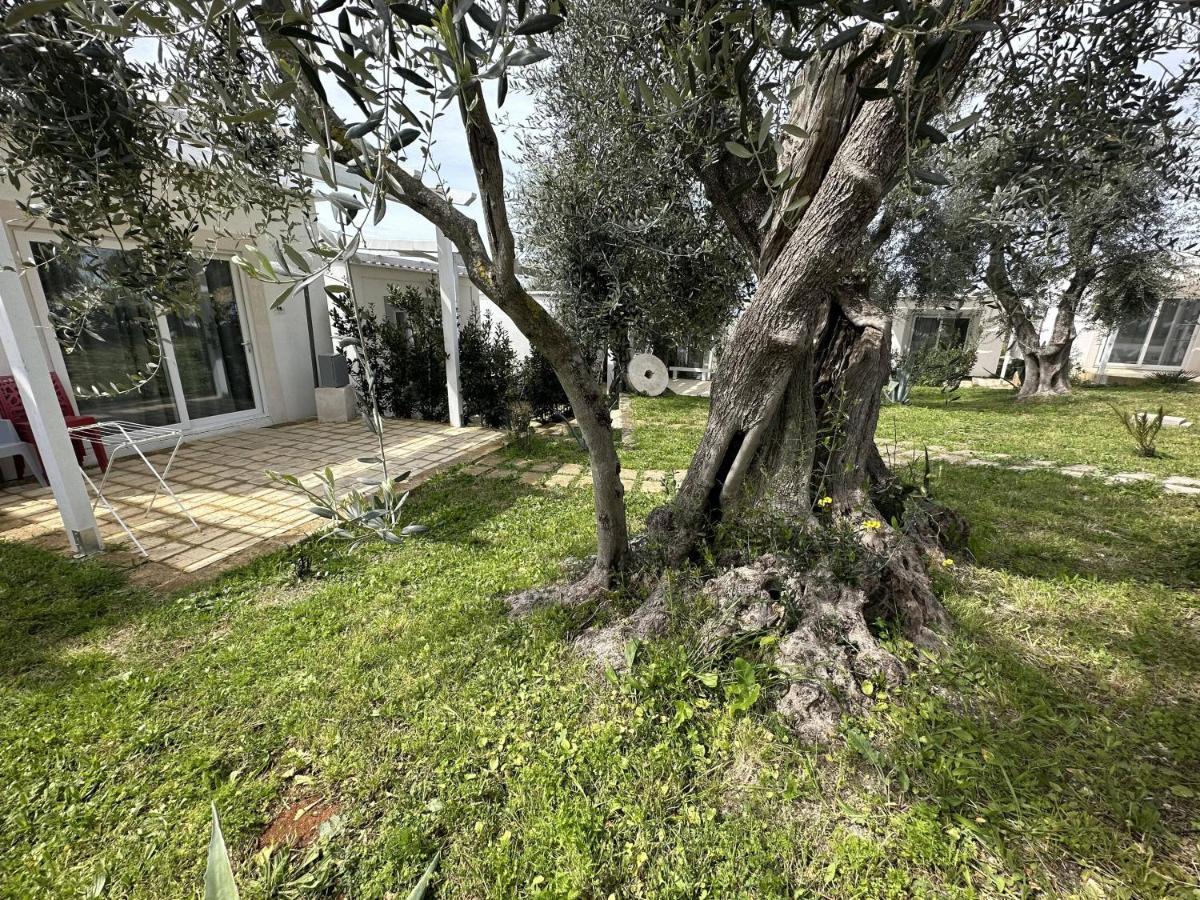 Frontemare Hotel Village & Ristorante Rodi Garganico Exterior photo
